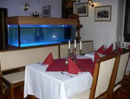 Chlazená akvária