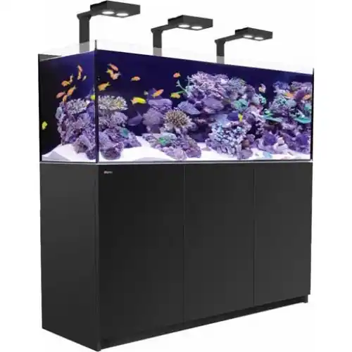 Red Sea Reefer Deluxe