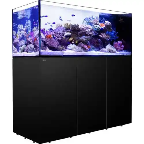 Red Sea Reefer Peninsula