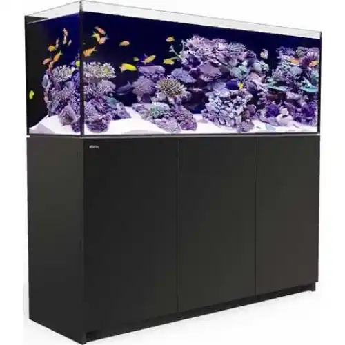 Red Sea Reefer Systems
