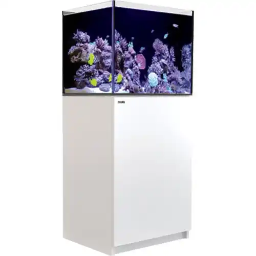 Red Sea Reefer Systems - 170 bílý