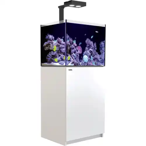 Reefer Deluxe - 170 bílý