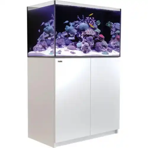 Reefer Systems - 250 bílý