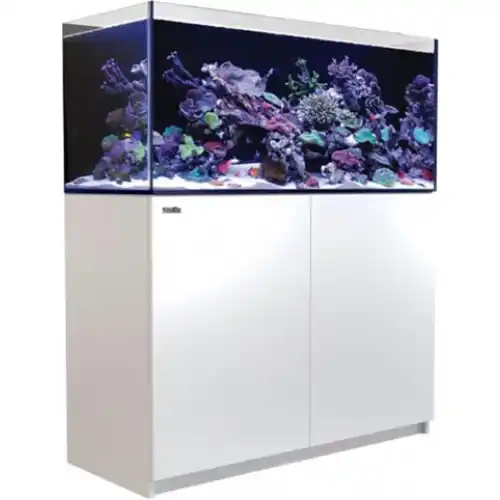 Reefer Systems - 350 bílý