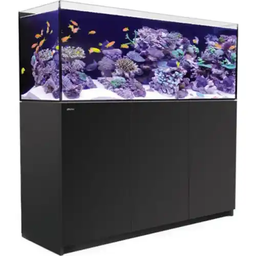 Reefer Systems - 450 černý