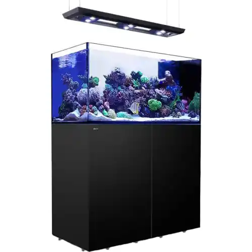 Reefer Peninsula - 500 černá Deluxe