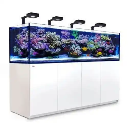 Red Sea Reefer G2+ XXXL Deluxe 900 bílá 4 x ReefLED90