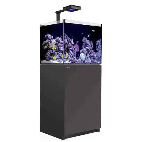 Reefer deluxe 170 black