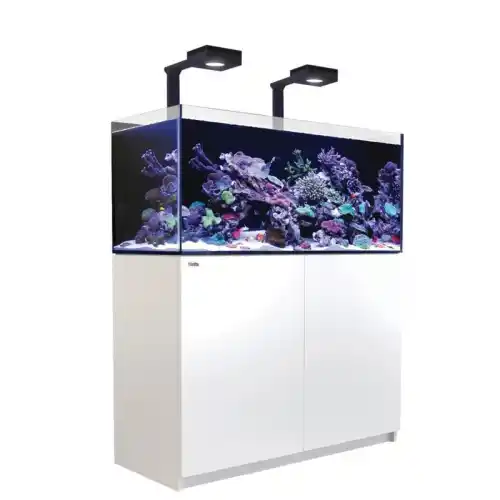 Reefer deluxe 425 white