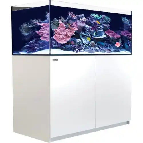 Reefer Systems - XL 425 bílý