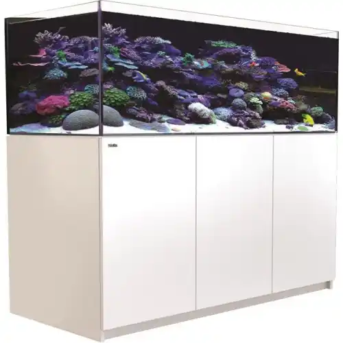 Reefer Systems - XL 525 bílý